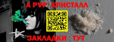 прущие грибы Ирбит