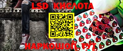 прущие грибы Ирбит