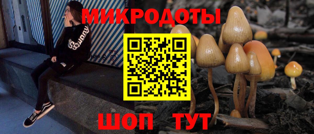 Псилоцибиновые грибы Psilocybine cubensis  Вход с VPN  Коряжма 